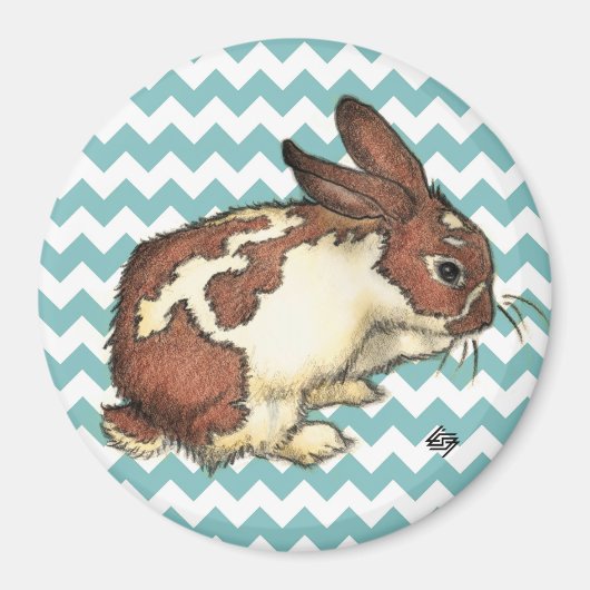 Aimant Lapin lave son visage (Devant)