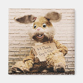 Aimant Lapin Mendiant, Costume De Lapin, Drôle Lapin De P (Devant)