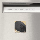Aimant Lapin noir (In Situ (Lave-vaisselle))