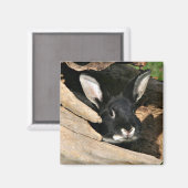 Aimant Lapin noir en rond (Recto/Verso)