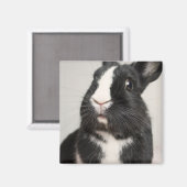 Aimant Lapin noir et blanc surpris (Recto/Verso)
