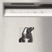 Aimant Lapin noir et blanc surpris (In Situ (Lave-vaisselle))