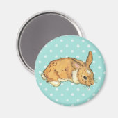 Aimant Lapin Polka Dot turquoise (Recto/Verso)