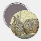 Aimant lapin (sauvage) (Recto/Verso)