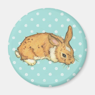 Aimant Lapin turquoise de point de polka