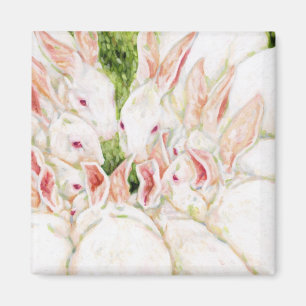 Aimant Lapins blancs