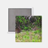 Aimant Lapins Brown dans l'herbe Floride (Recto/Verso)