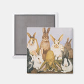 Aimant Lapins chanceux (Recto/Verso)