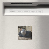 Aimant lapins mignons (In Situ (Lave-vaisselle))