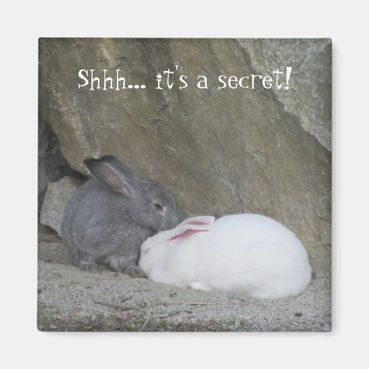 Aimant Lapins mignons avec citation (Devant)