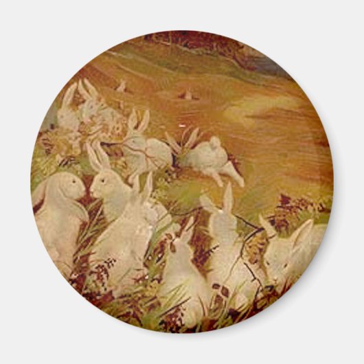 Aimant Lapins vintages (Devant)