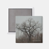 Aimant L'arbre (Recto/Verso)