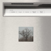 Aimant L'arbre (In Situ (Lave-vaisselle))