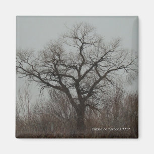 Aimant L'arbre