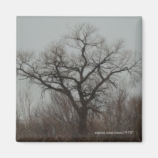 Aimant L'arbre (Devant)
