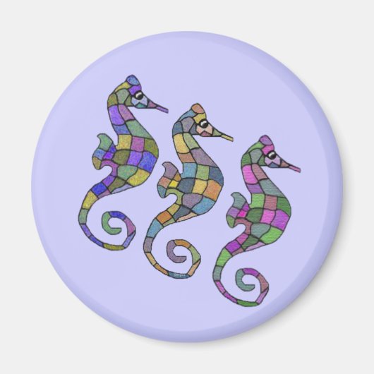 Aimant L'arc-en-ciel de Seahorse (Devant)