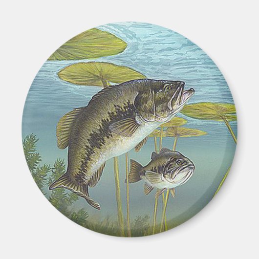 Aimant Largemouth Bass (Devant)