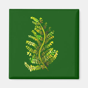Aimant L'art plante de la feuille de fougère verte