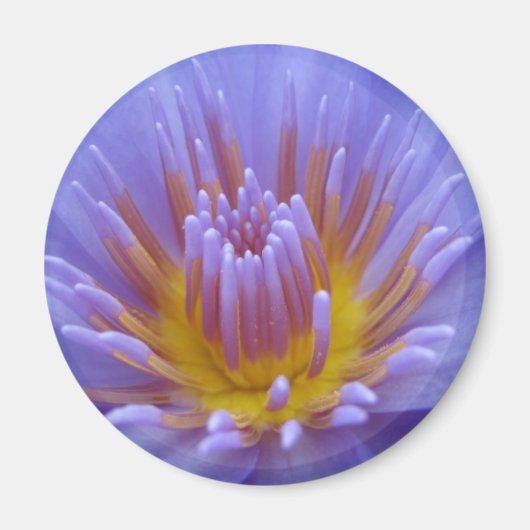 Aimant Laura Frase (Devant)