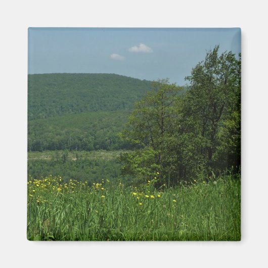 Aimant Laurel Highlands Pennsylvania Summer Photography (Devant)