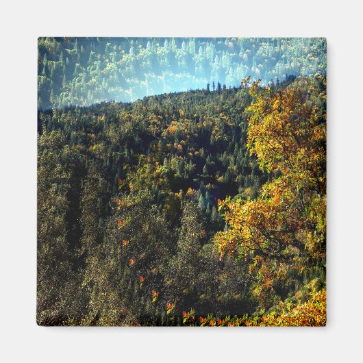 Aimant L'automne dans les montagnes.... (Devant)