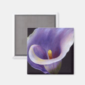 Aimant Lavande Calla Lily (Recto/Verso)