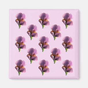 Aimant Lavande Irises......