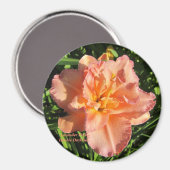 Aimant Lavande rose double jour (Recto/Verso)