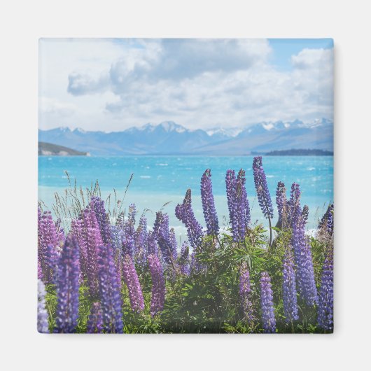 Aimant lavande sur le lac (Devant)
