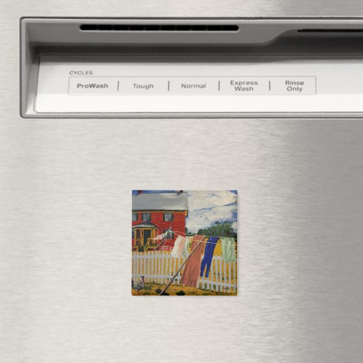 Aimant Lave-linge (In Situ (Lave-vaisselle))