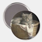 Aimant Lave-linge Ou Portrait De Kitten Gris En Temps De (Recto/Verso)