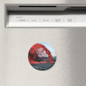 Aimant Lave moulée (In Situ (Lave-vaisselle))