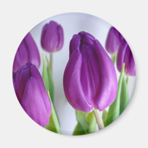 Aimant Lavender Tulips