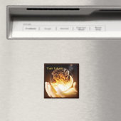 Aimant L'avenir des chats dans nos mains (In Situ (Lave-vaisselle))