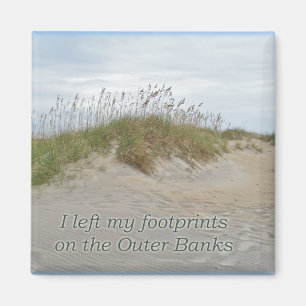 Aimant L'avoine marine sur la dune de sable Bancs extérie