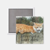 Aimant Lazy Cat (Recto/Verso)