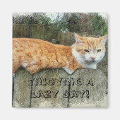 Aimant Lazy Cat (Devant)