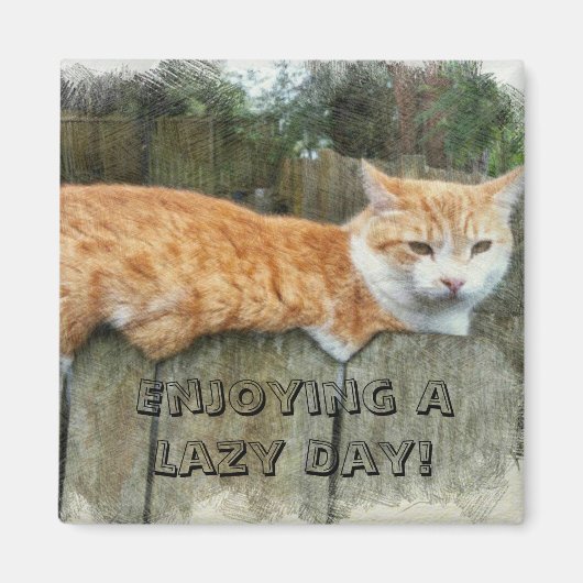 Aimant Lazy Cat (Devant)