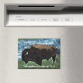Aimant Le Bison Parcourt Le Parc National De Yellowstone (In Situ (Lave-vaisselle))
