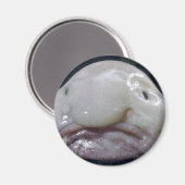 Aimant Le Blobfish (Recto/Verso)