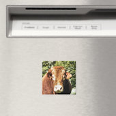 AIMANT LE BULL (In Situ (Lave-vaisselle))