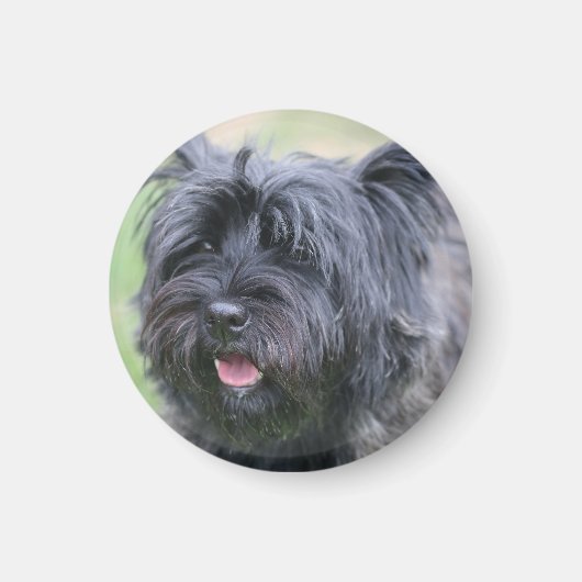 Aimant Le Caire (Devant)