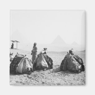 Aimant Le Caire Égypte, jockeys de chameaux Pyramides de