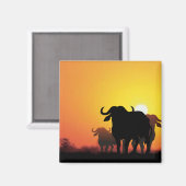 Aimant Le Cap Buffalo (Recto/Verso)