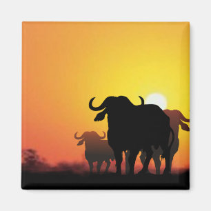 Aimant Le Cap Buffalo