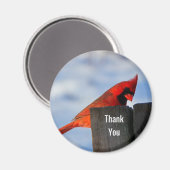 Aimant Le cardinal rouge sur le Merci en bois (Recto/Verso)