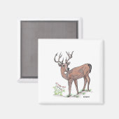 Aimant Le Cerf (Recto/Verso)