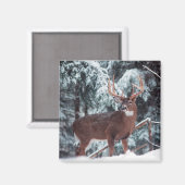 Aimant Le cerf dans l'aimant de la neige (Recto/Verso)