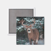 Aimant Le cerf dans l'aimant de la neige (Recto/Verso)