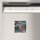 Aimant Le cerf dans l'aimant de la neige (In Situ (Lave-vaisselle))